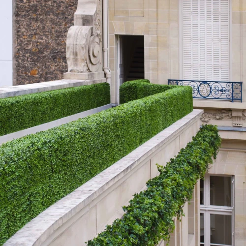 Hedges and topiary on a building