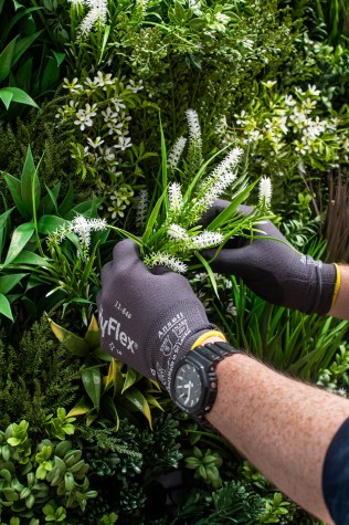 arranging the green wall panel once attached
