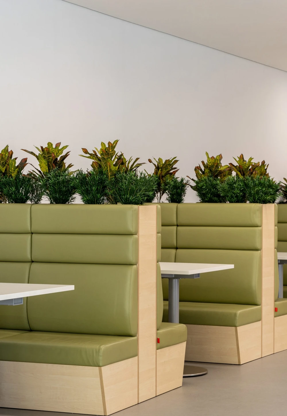 artificial planting installed in seating troughs in a school
