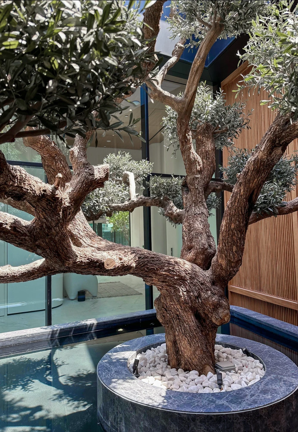 artificial bonsai tree installed in an outdoor pool