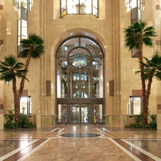 artificial palms displayed at building entrance