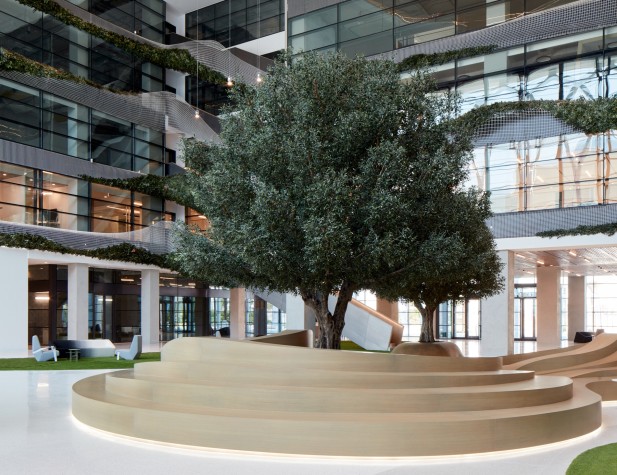 Artificial olive trees installed in SRTI Park, Sharjah