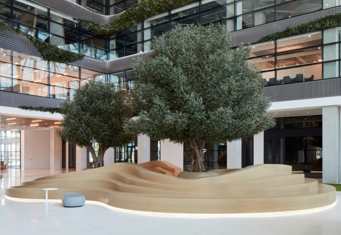 Artificial olive trees installed in SRTI Park, Sharjah