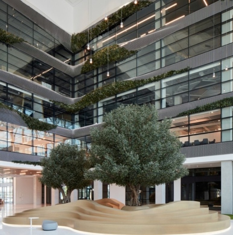 large artificial olive tree indoors