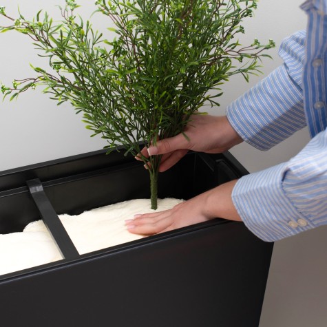 insterting the plants into the spaces