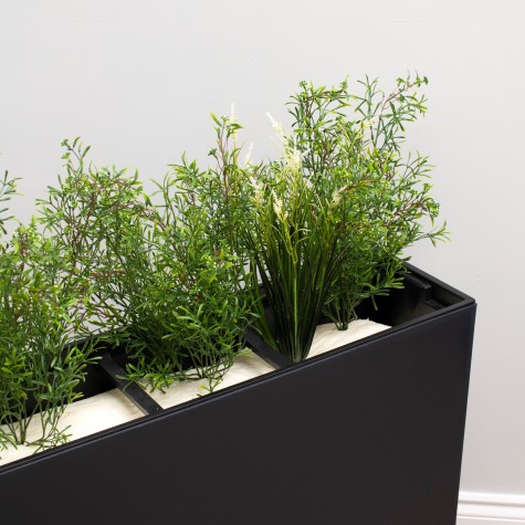 plants displayed in position